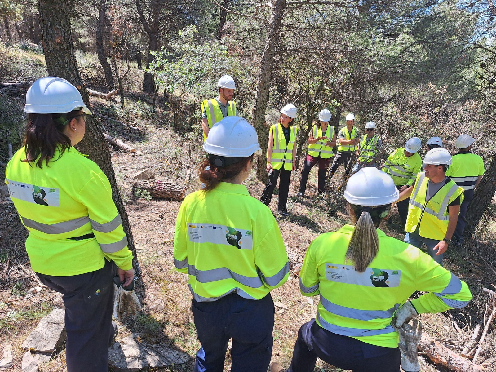 Tareas forestales Bioforeste.