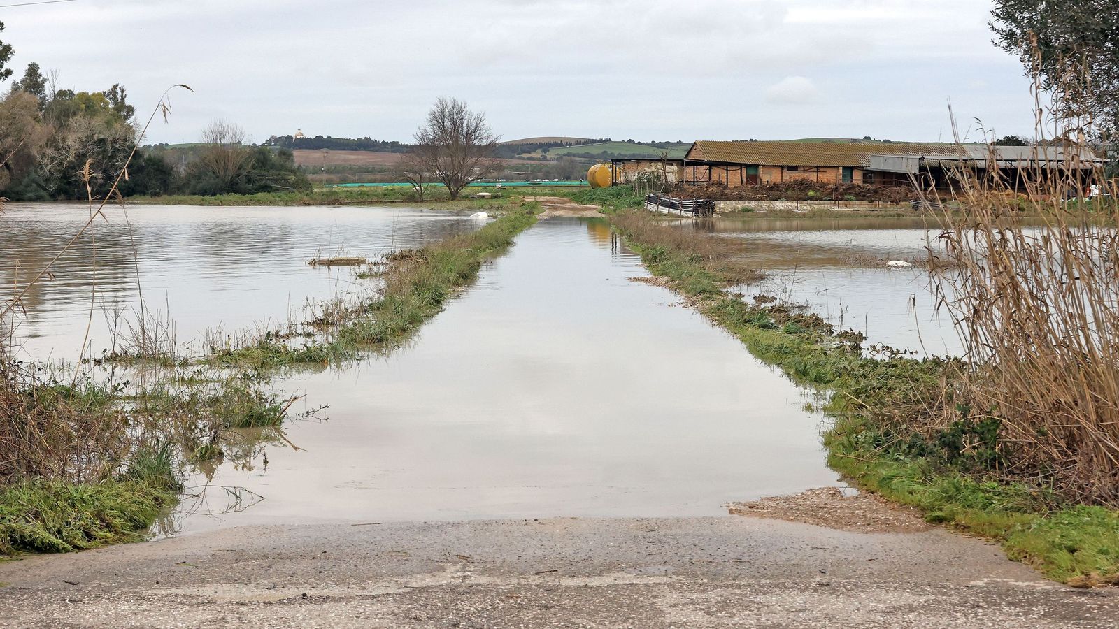 El Guadalete comienza a bajar su nivel poco a poco por la zona rural de Jerez