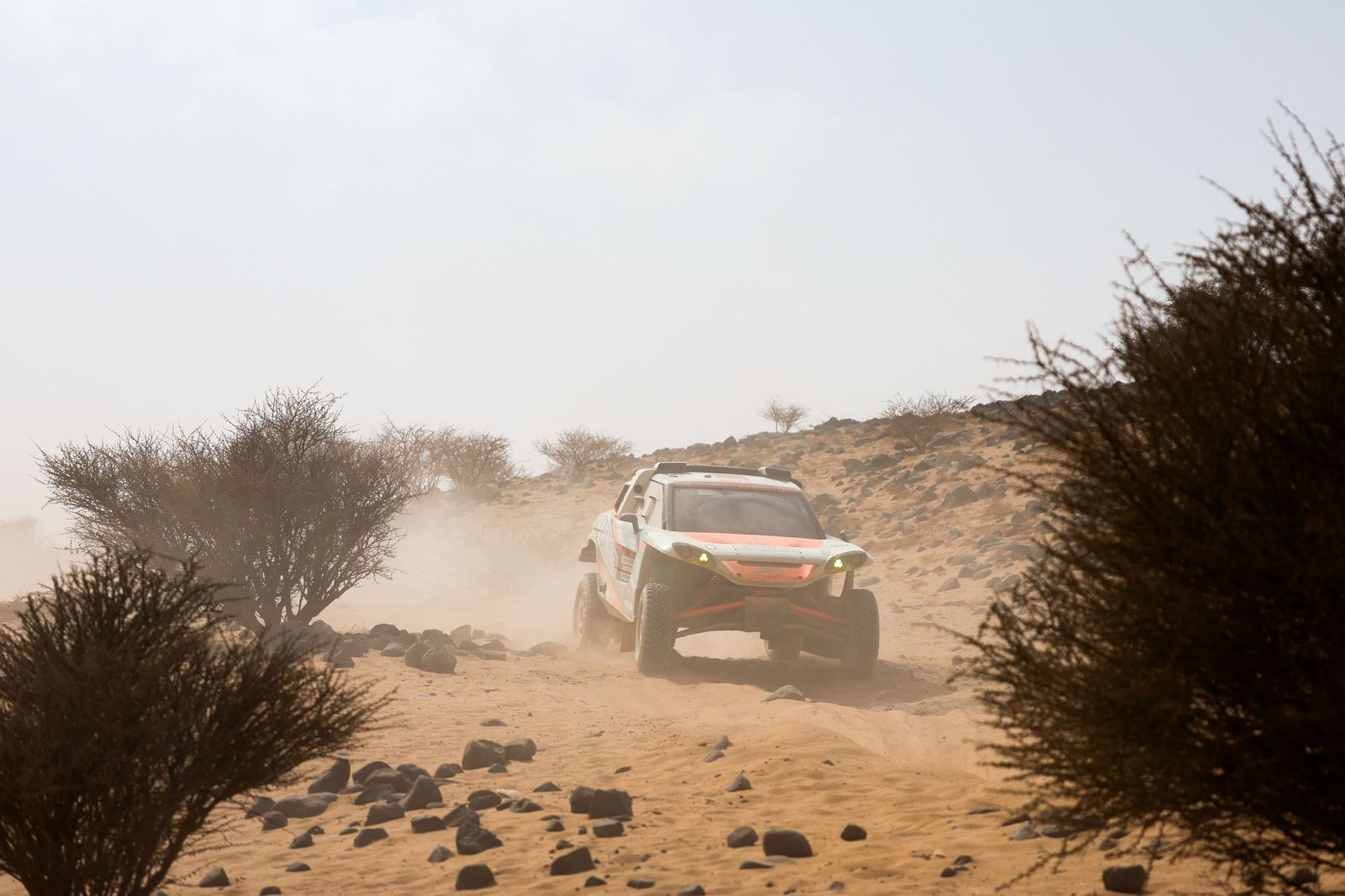 Las mejores fotos del Rally Dakar | undécima etapa
