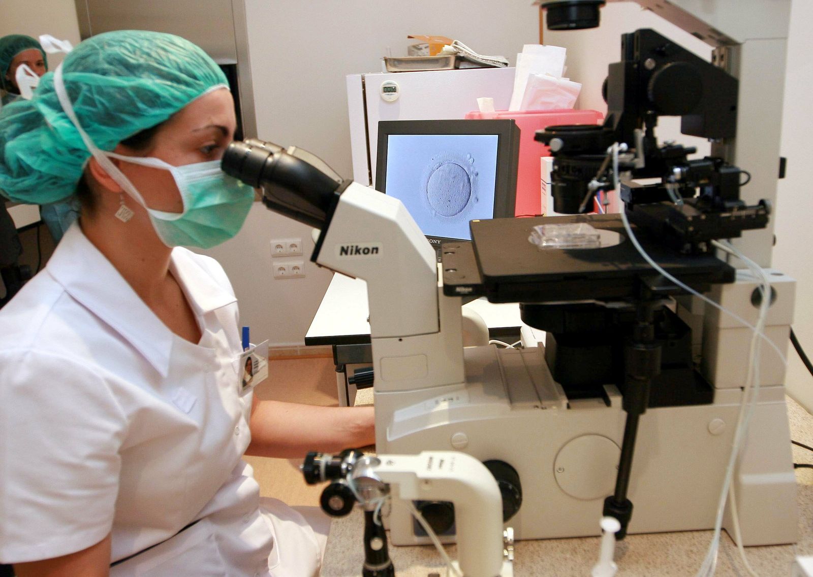 Observación de un óvulo en el Instituto Valenciano de Infertilidad (IVI).