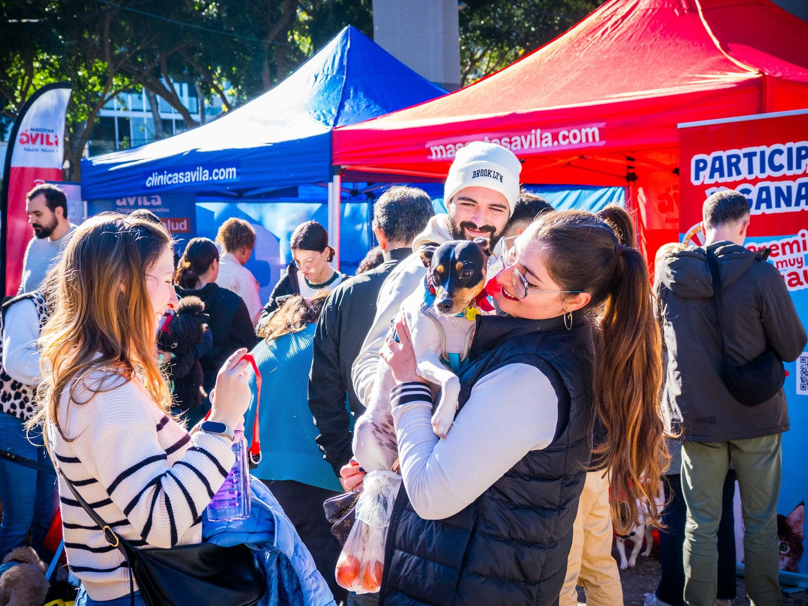 Las imágenes de San Antón 2025 en San Fernando