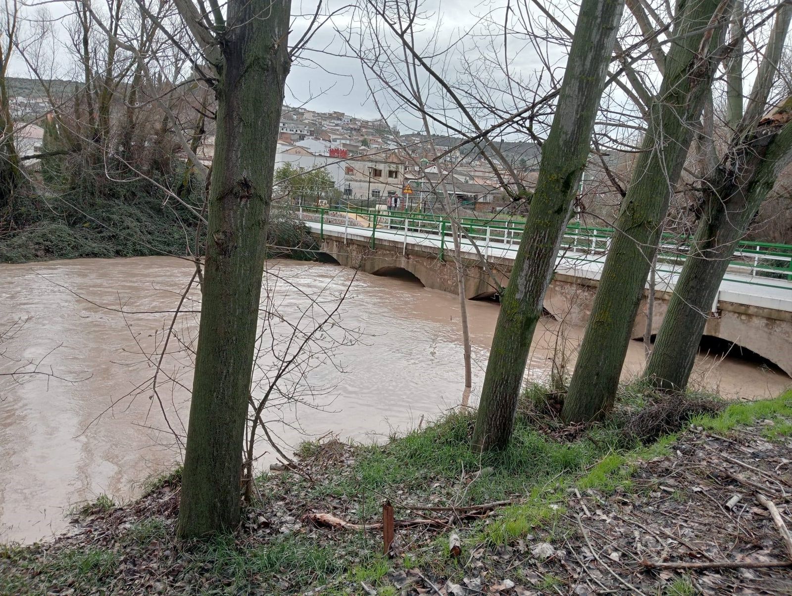 Viento, agua y destrozos: las imágenes de los efectos de la borrasca en la provincia de Granada