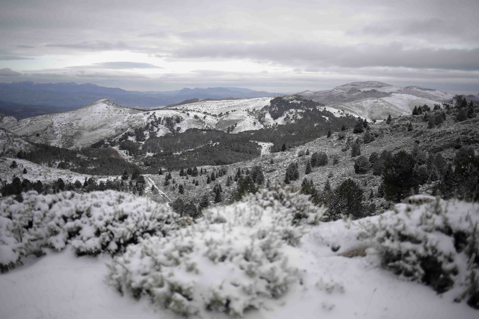 La excursiones a los parajes nevados de Málaga, en imágenes