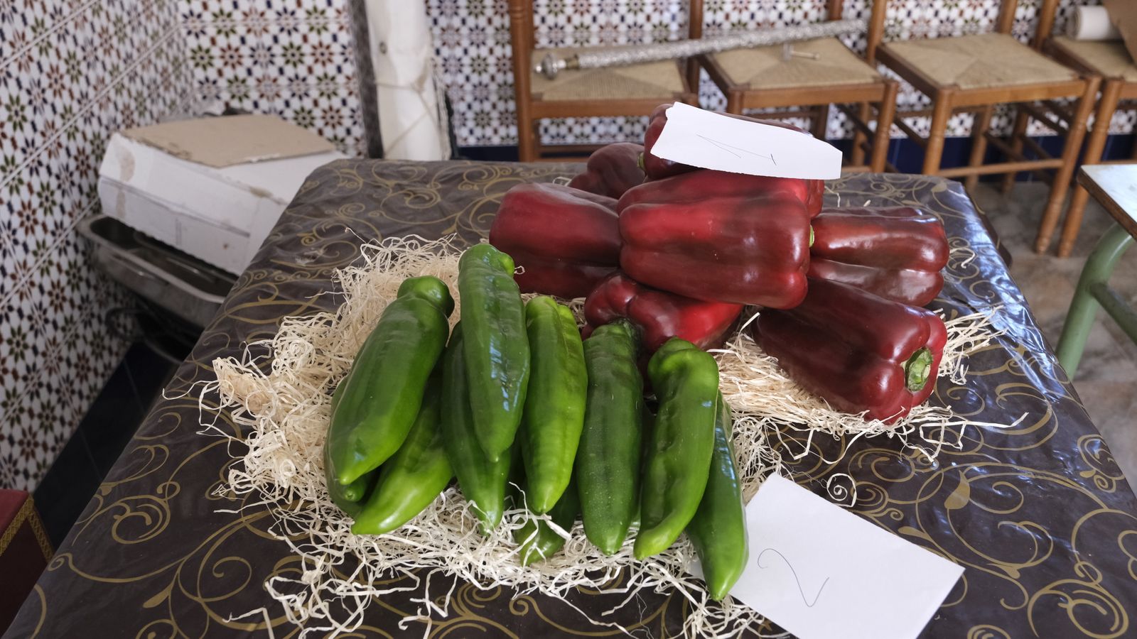 Fotogalería de las Fiestas de San Marcos en Adra.