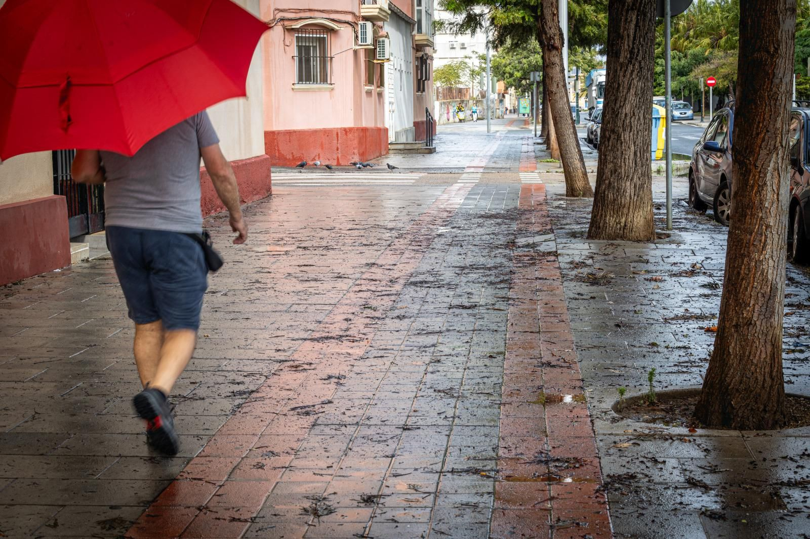 Los daños aún visibles del temporal Bernard en Cádiz