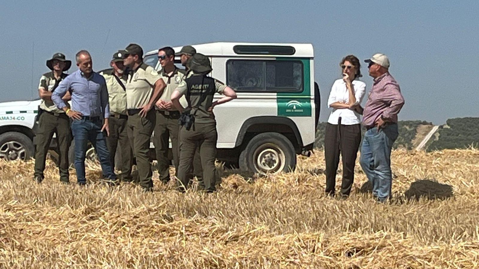 Labores para localizar los nidos de aguilucho cenizo.