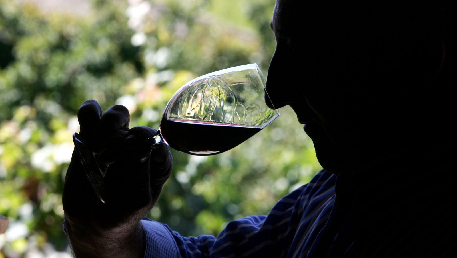 El sector del vino se encuentra de enhorabuena en los últimos días