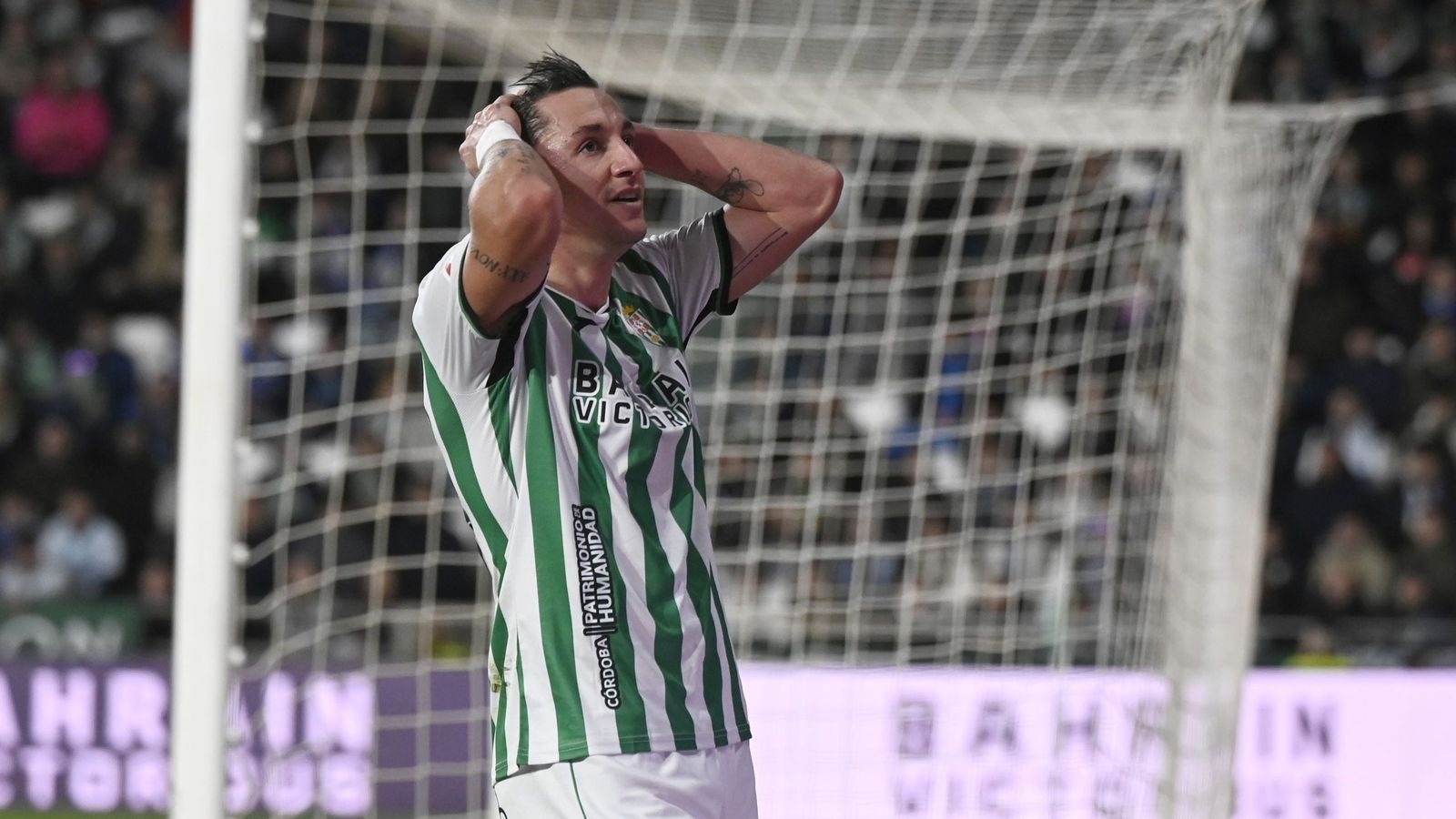 Carracedo se lamenta tras una ocasión fallada en el Córdoba CF - Málaga CF.