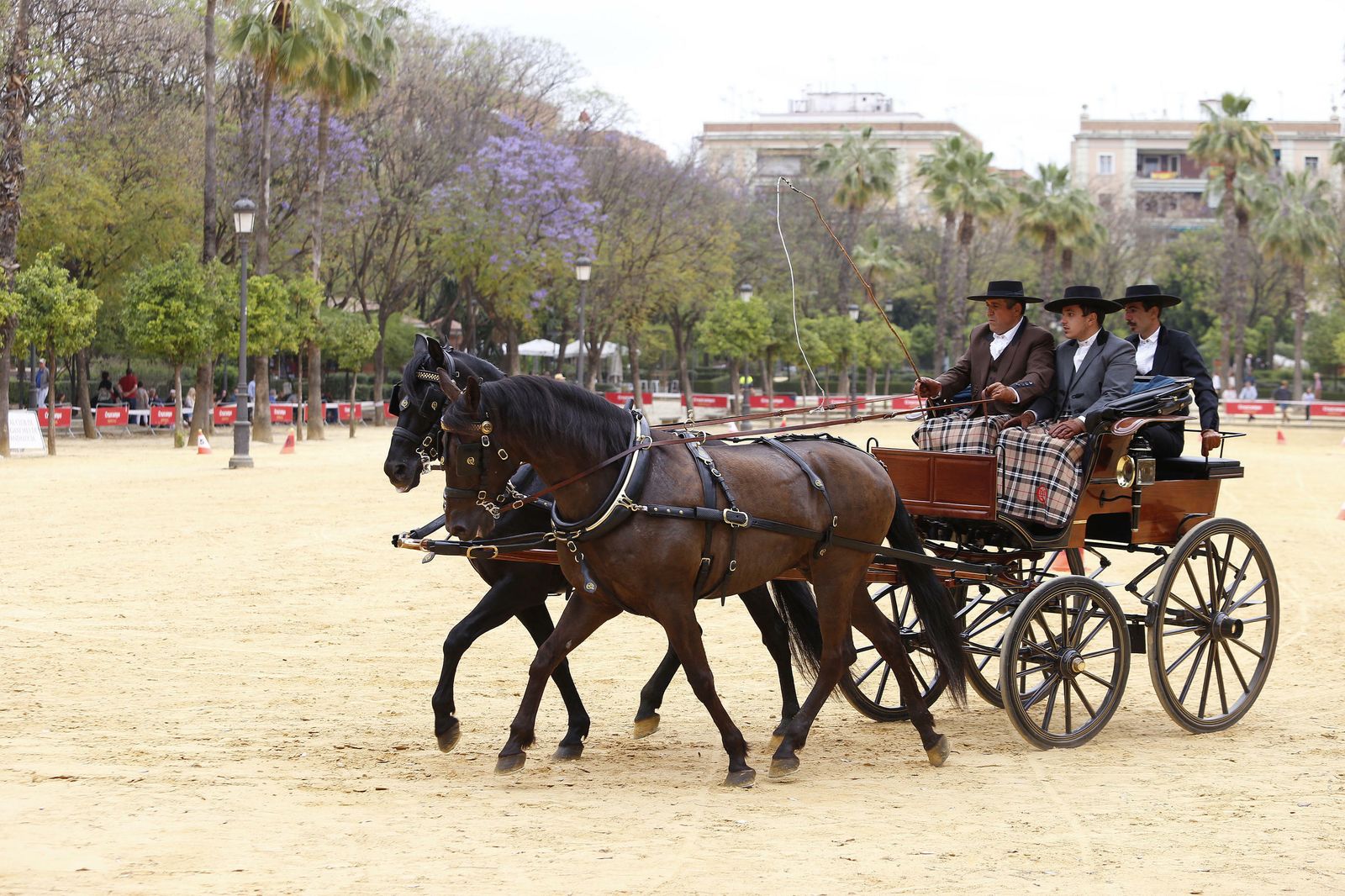 El concurso de enganches, en imágenes