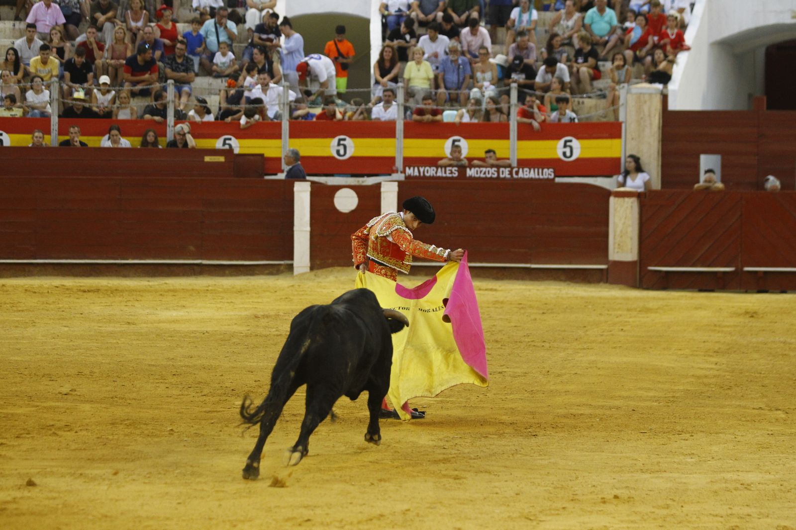 Imágenes de la novillada organizada por la Escuela Taurina de Almería