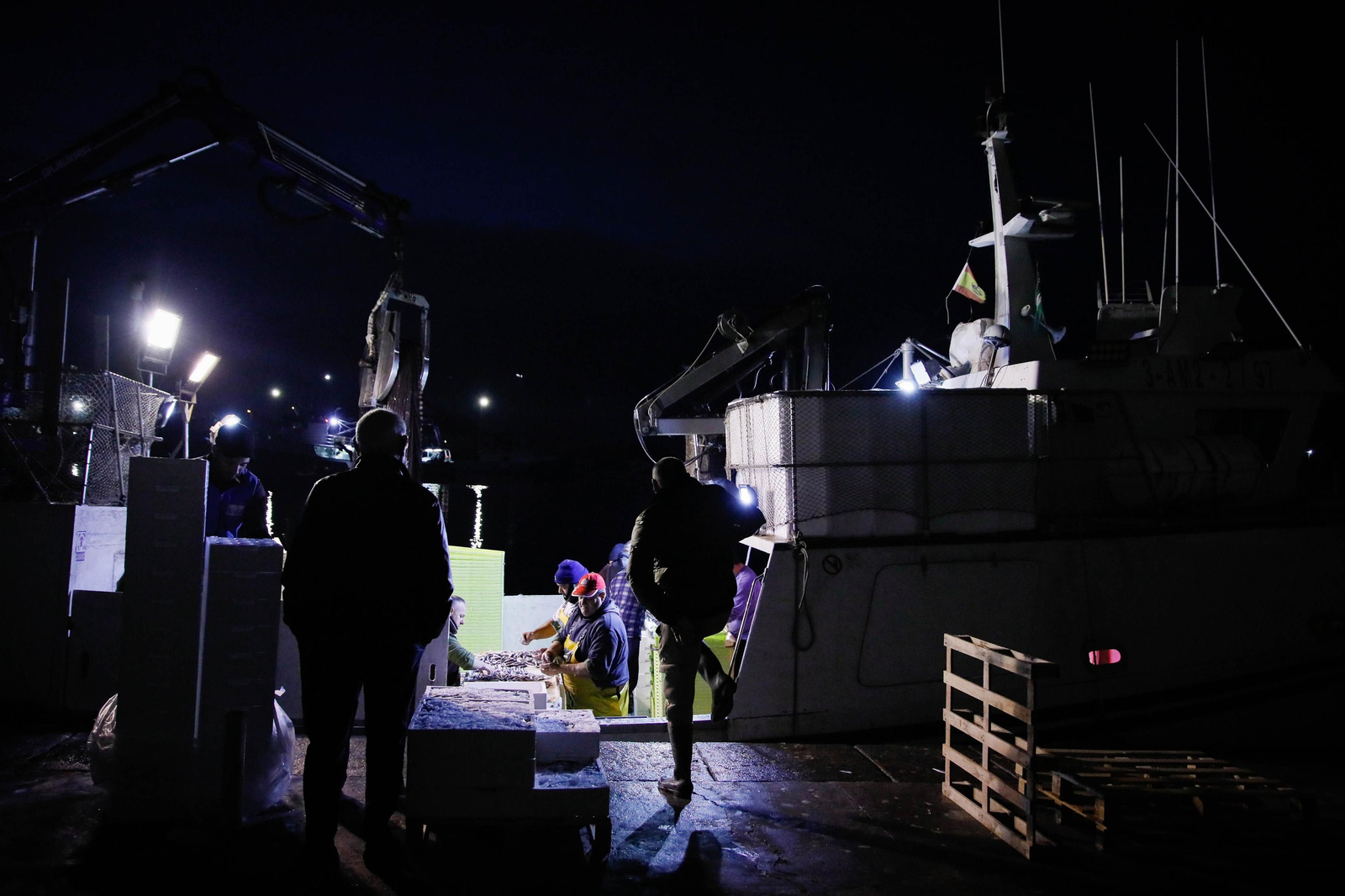 Te contamos en imágenes como ha sido la descarga de las traiñas en la lonja de Almería