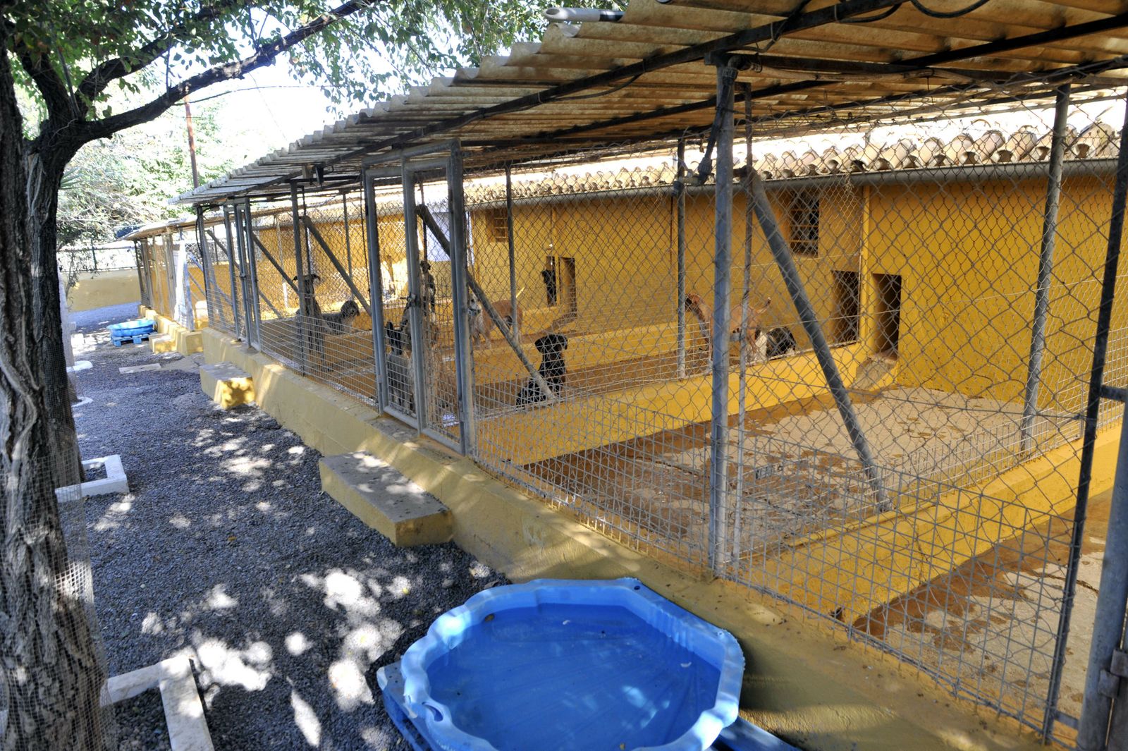 Centro de Animales Abandonados y Perdidos de Villamartín.