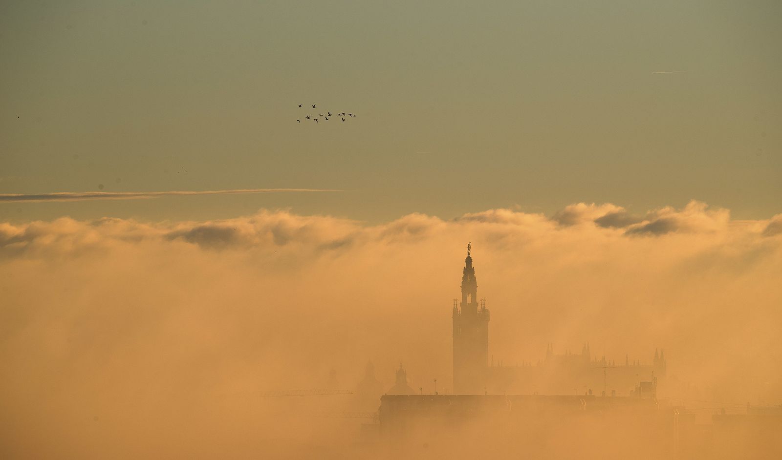 La niebla cubre Sevilla