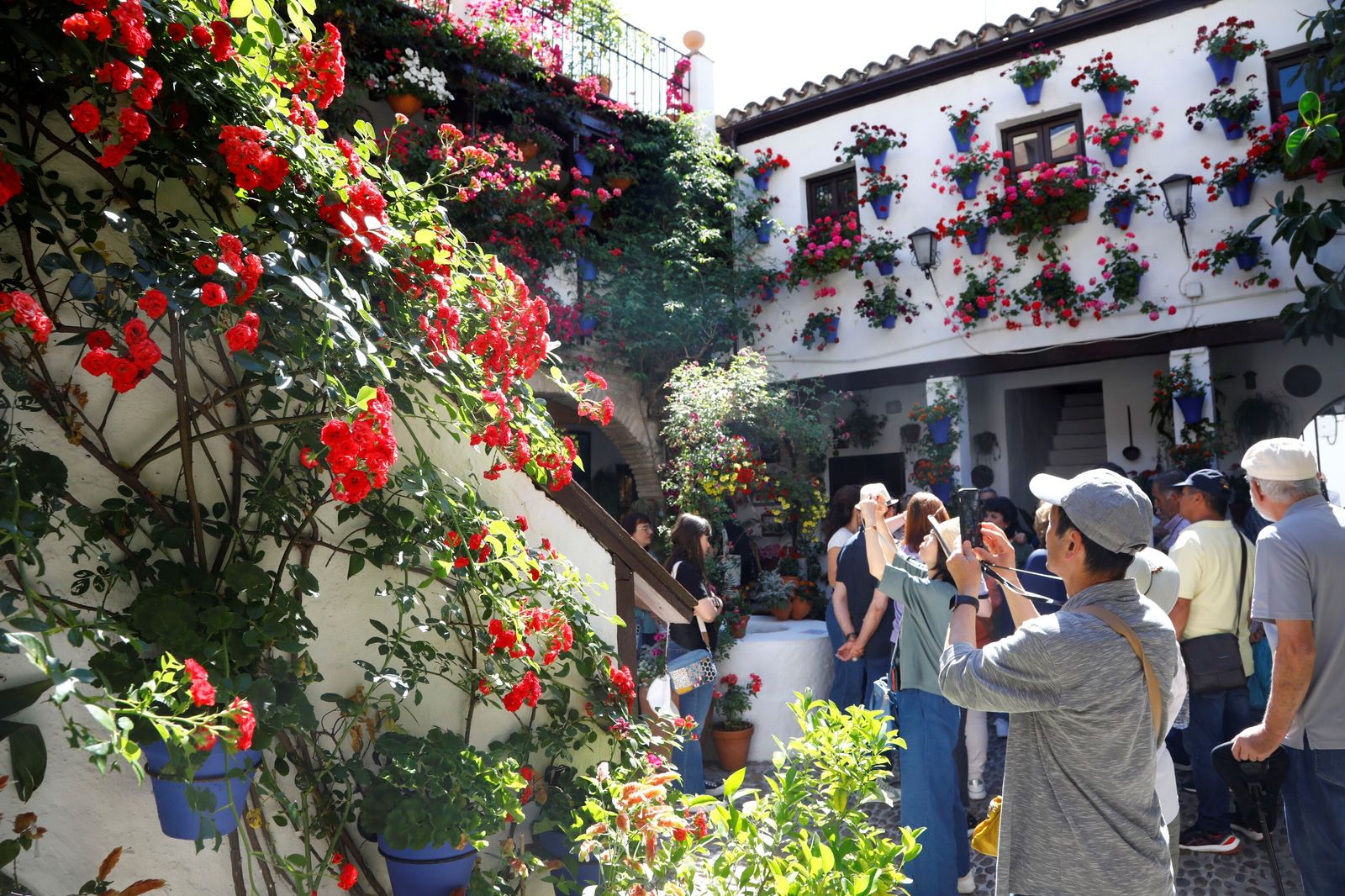 Las colas en el último sábado de Patios de Córdoba, en imágenes