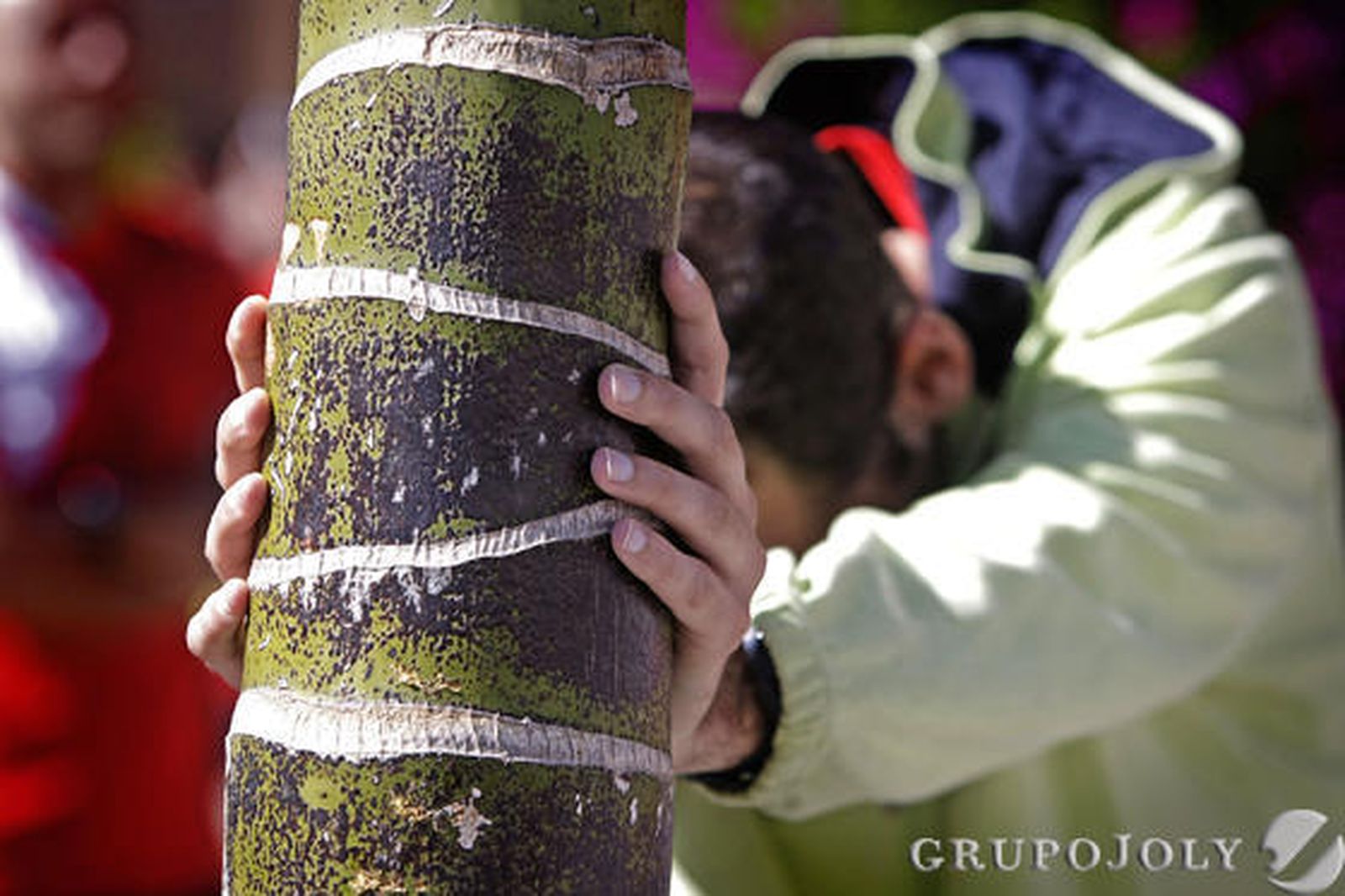 Foto: Rioja / Julio Gonzalez