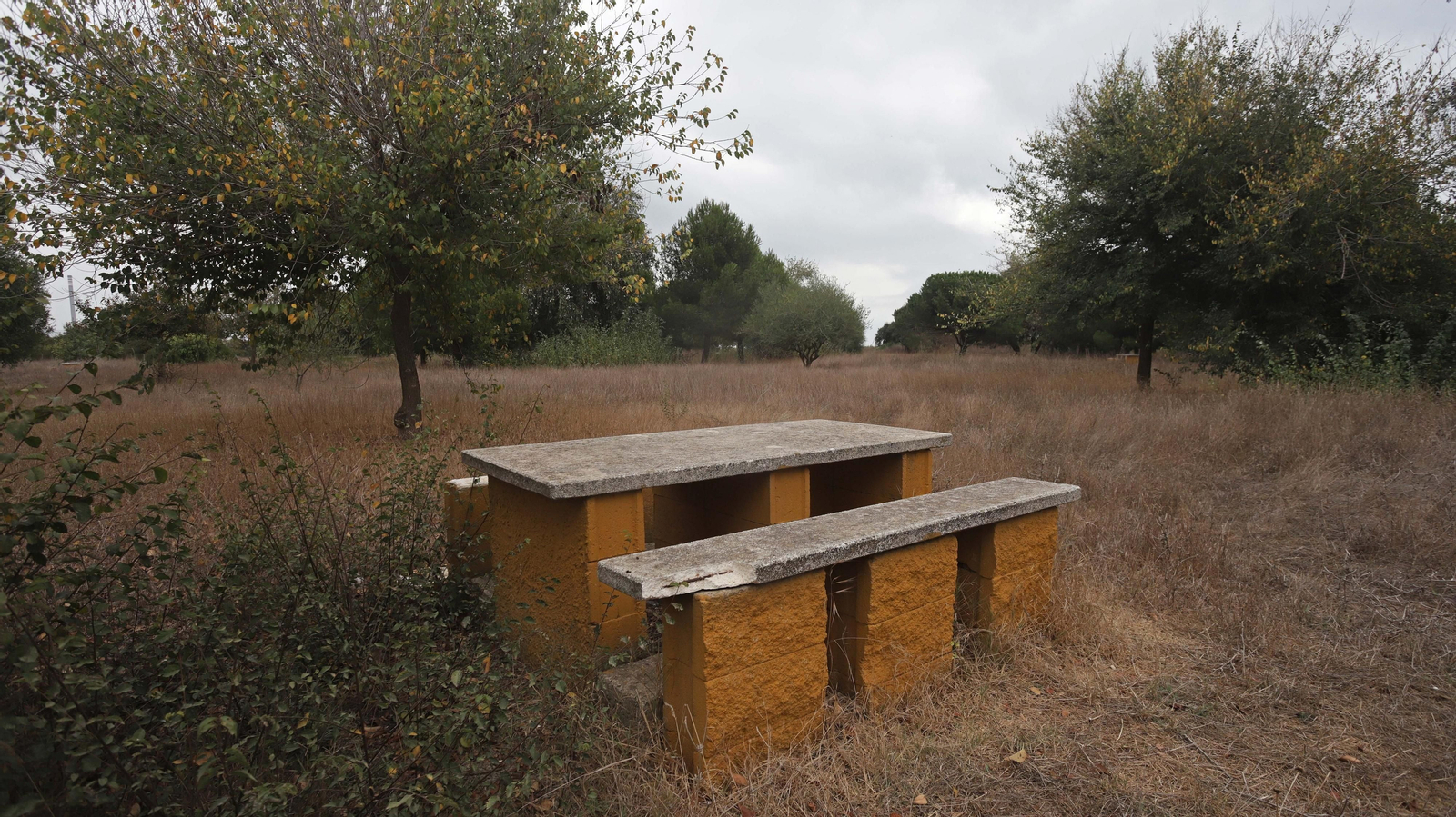 Fotos del parque del Torrejón en Algeciras