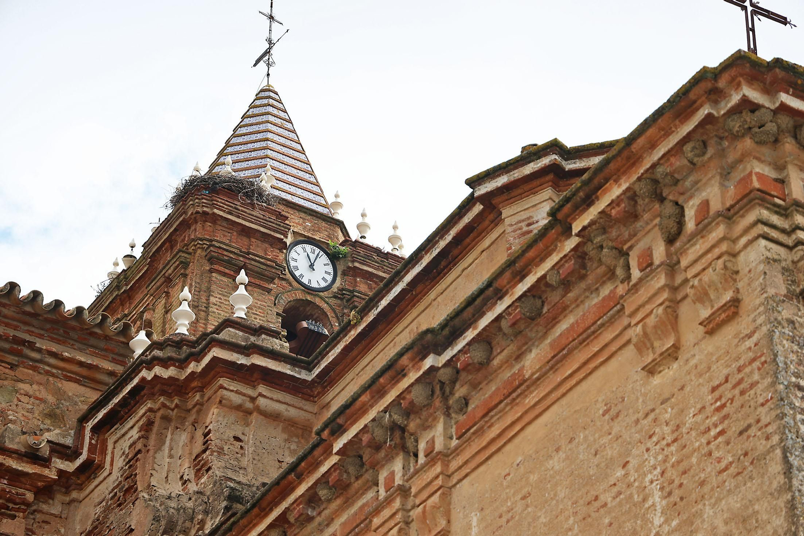 Las imágenes de la romería de San Benito Abad en el Cerro del Andévalo de Huelva