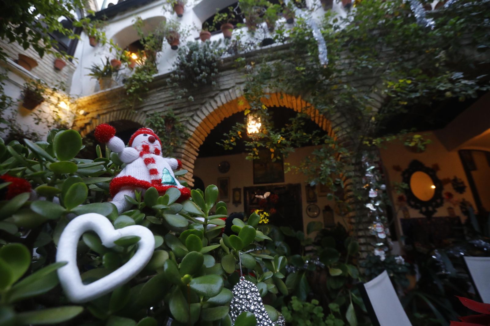 Las fotografías de los Patios de Córdoba en Navidad