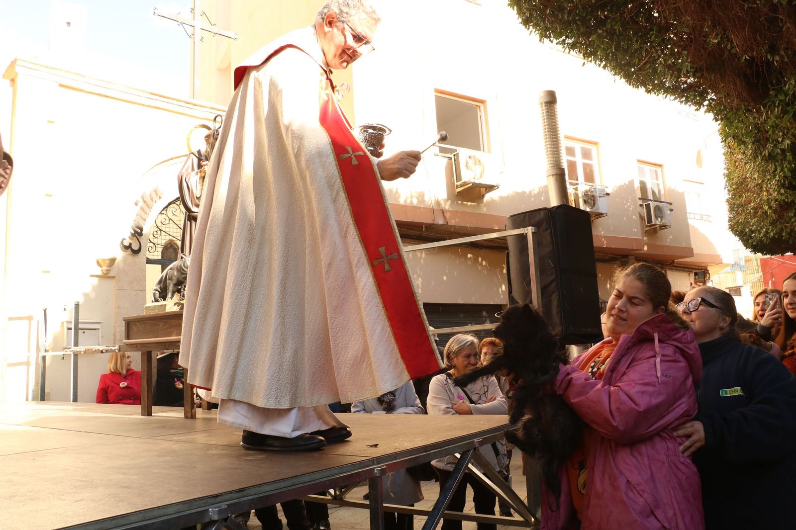 Así ha sido la bendición de las mascotas y la subasta de 'rabicos' en el casco histórico de Almería