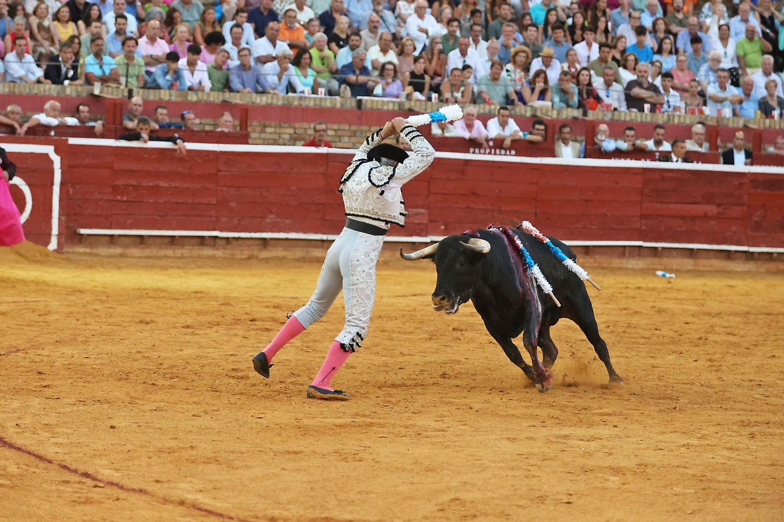 Toros La Merced 2024 Novillada con picadores(