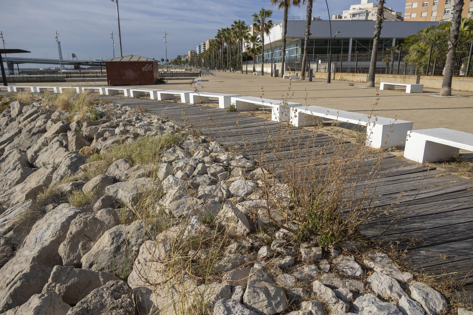 Las imágenes del mal estado de los paseos de Cádiz