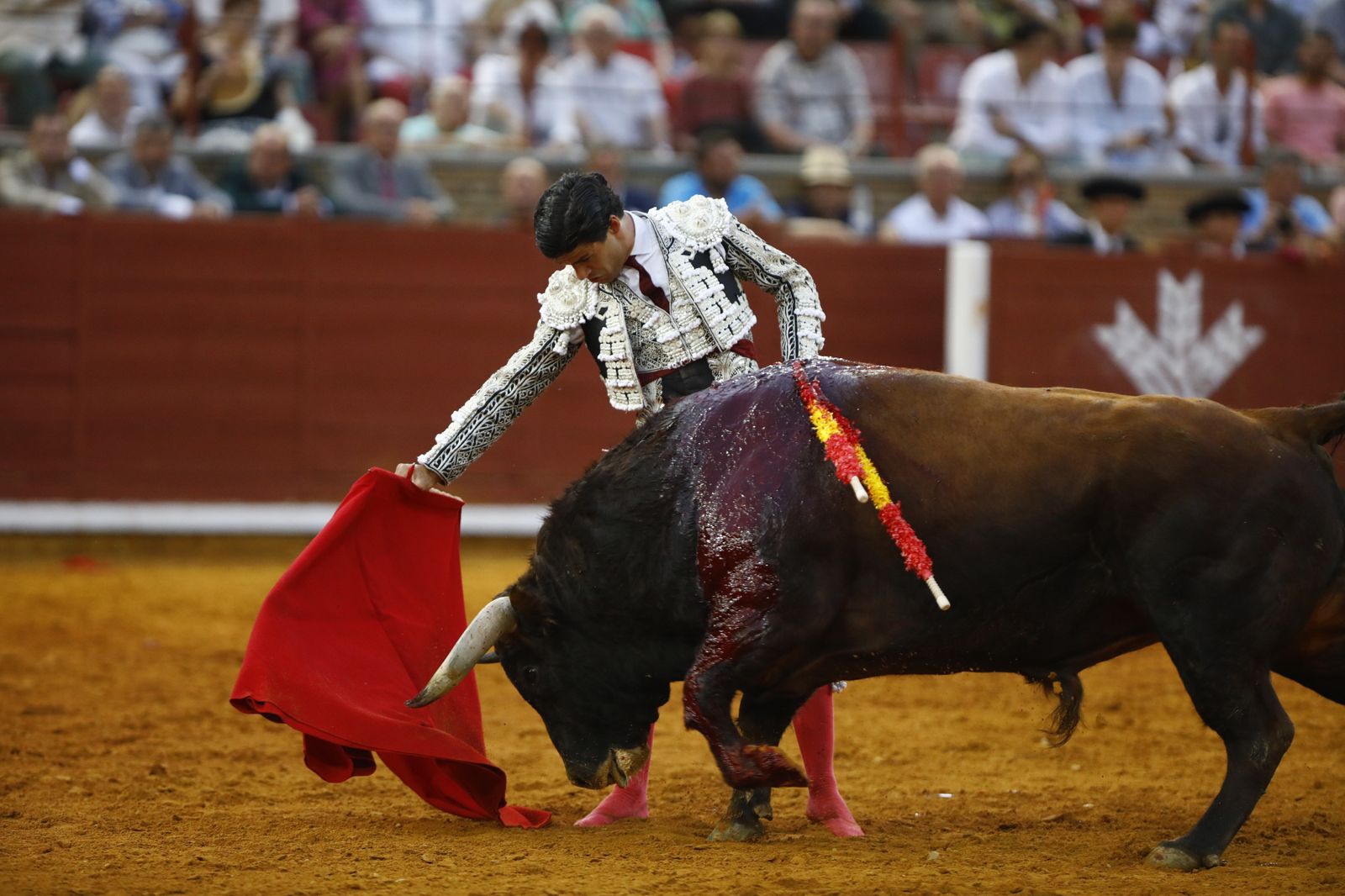 La corrida mixta de Diego Ventura, Morante de la Puebla y Pablo Aguado en Córdoba, en imágenes