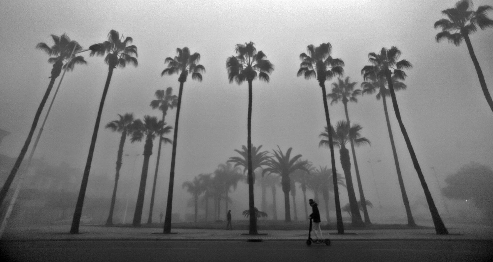 Las imágenes más impresionantes de la niebla en Huelva