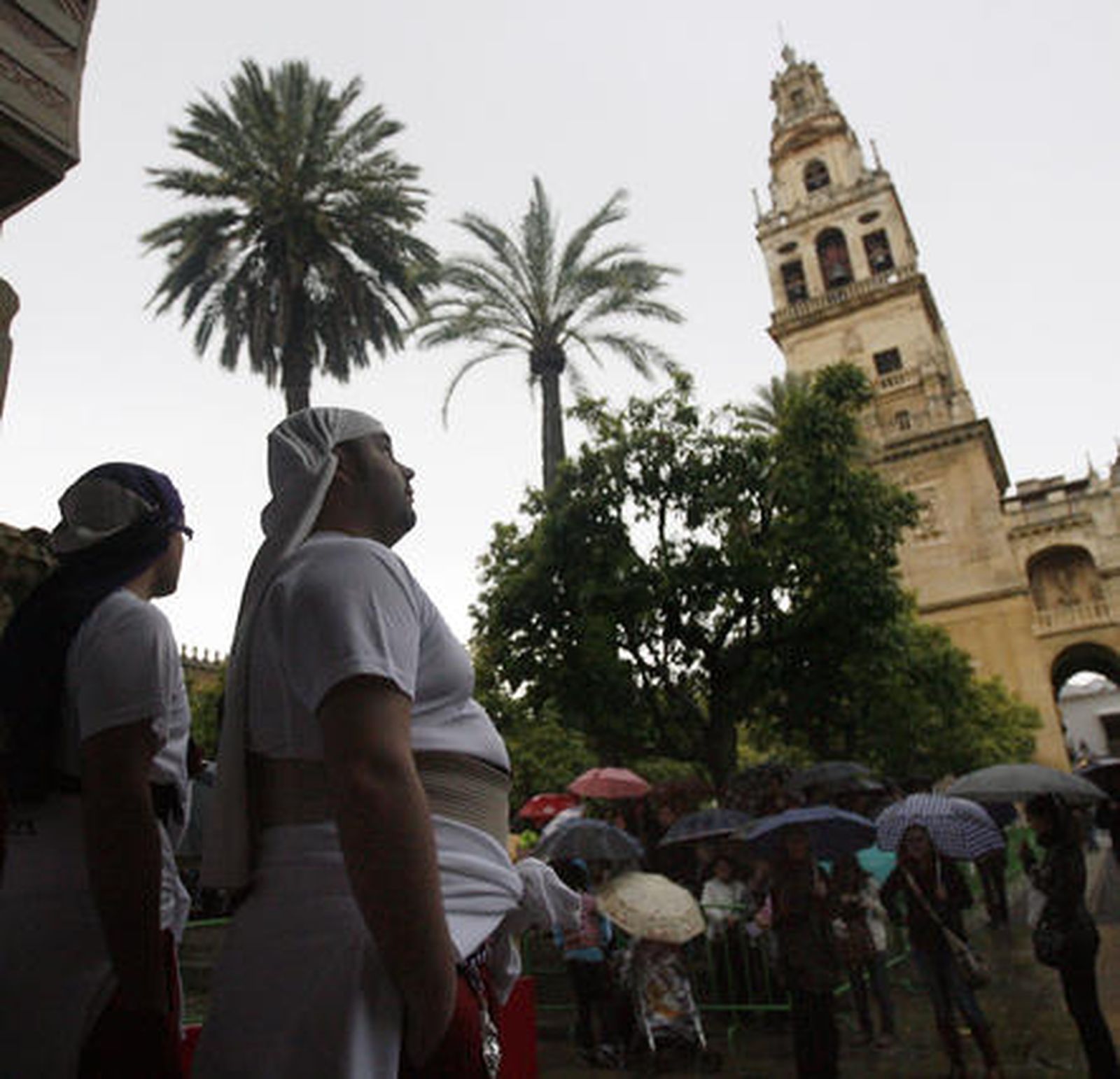 Agonía.

Foto: José Martínez