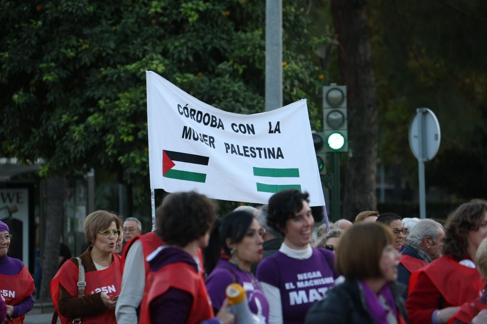 La manifestación del 25N en Córdoba, en imágenes