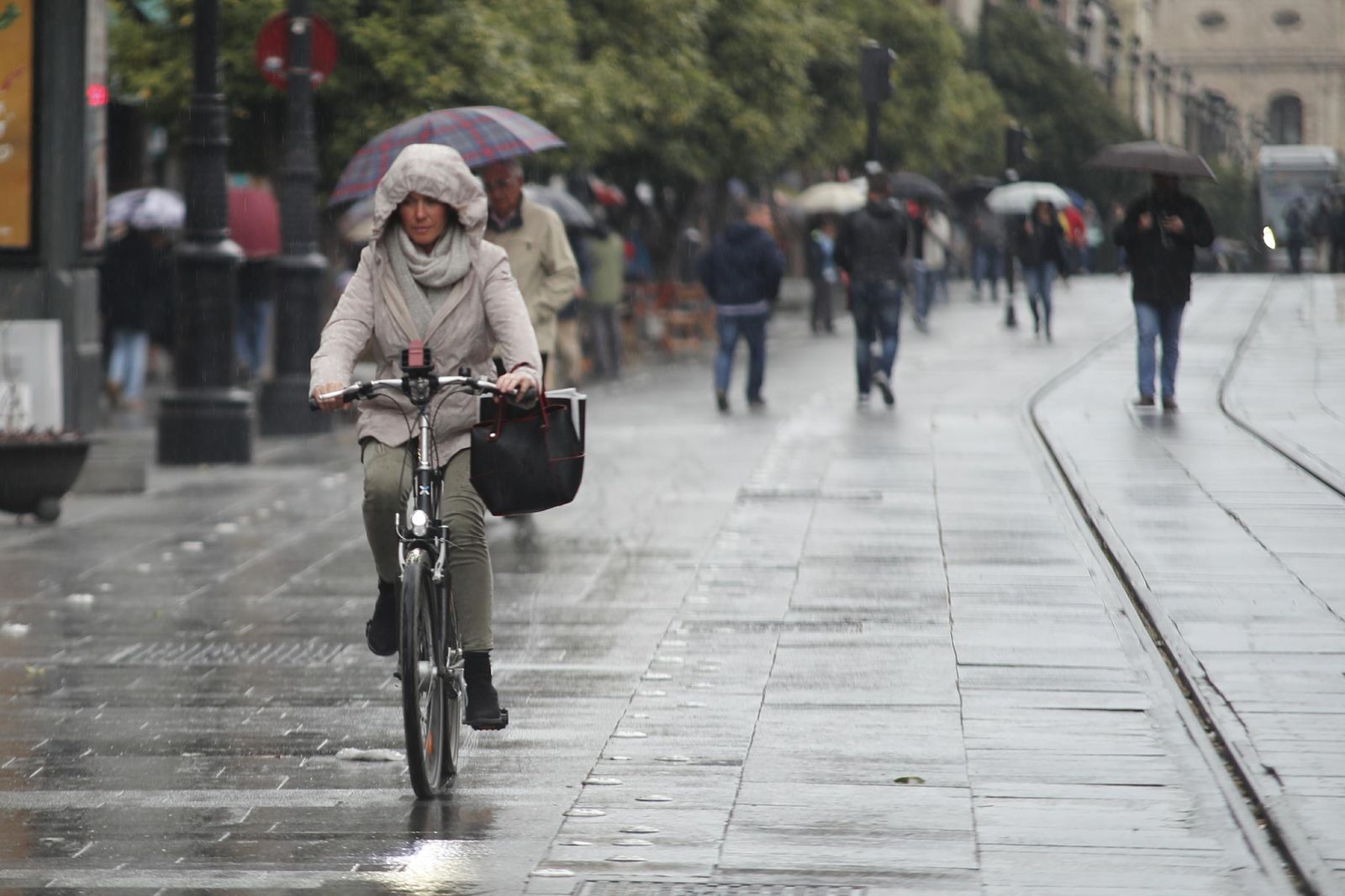 La lluvia volvió ayer en Sevilla.