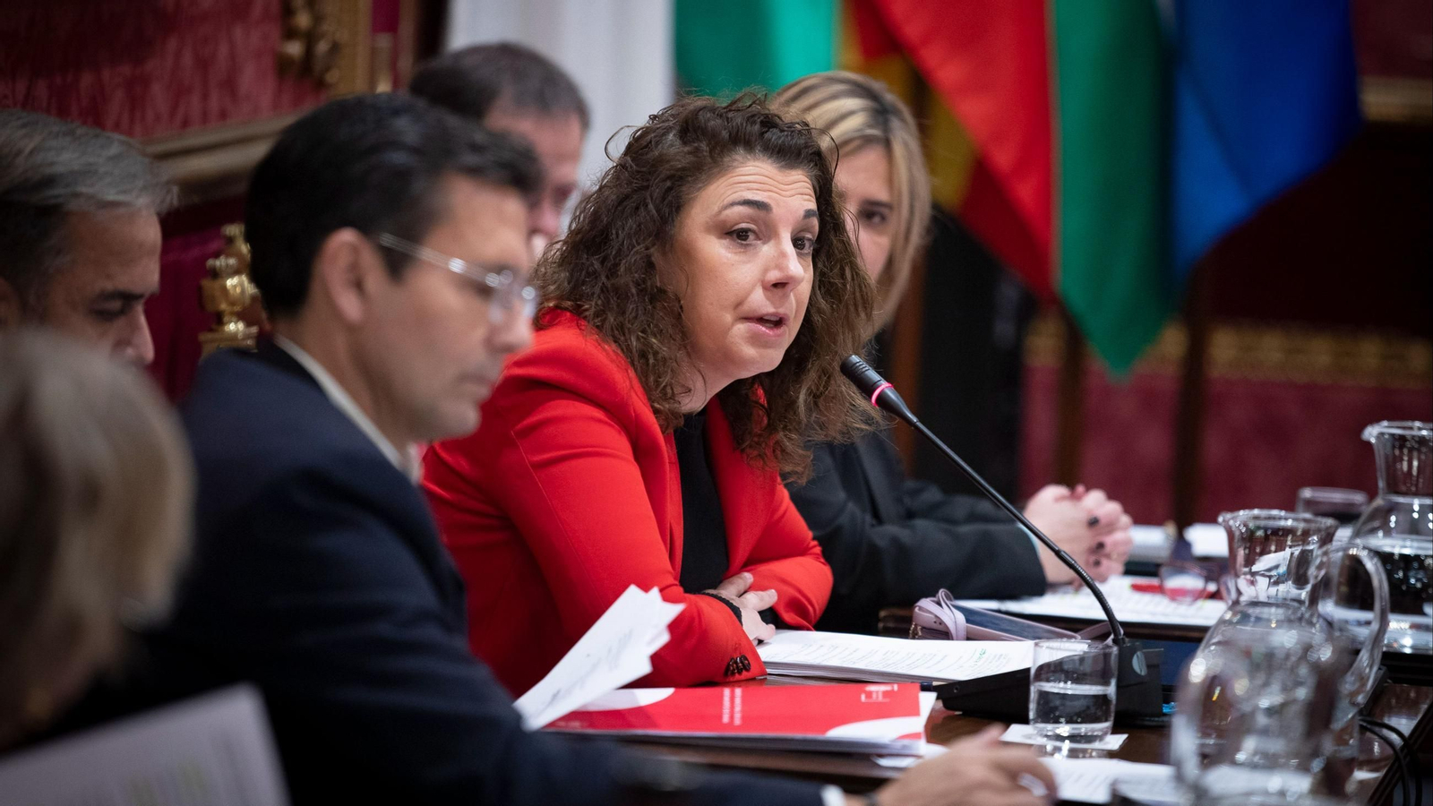 La concejala Eva Fernández en el pleno del mes de diciembre del Ayuntamiento de Granada