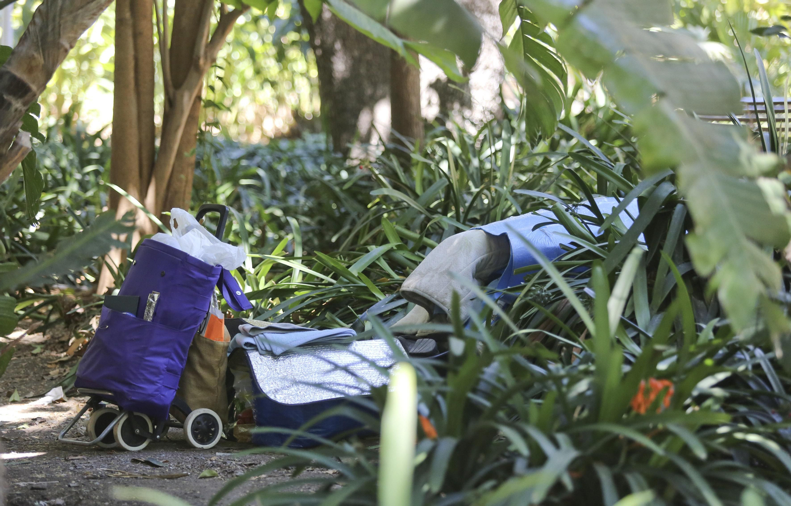 Fotos del  'camping' de los indigentes en el Parque de Málaga