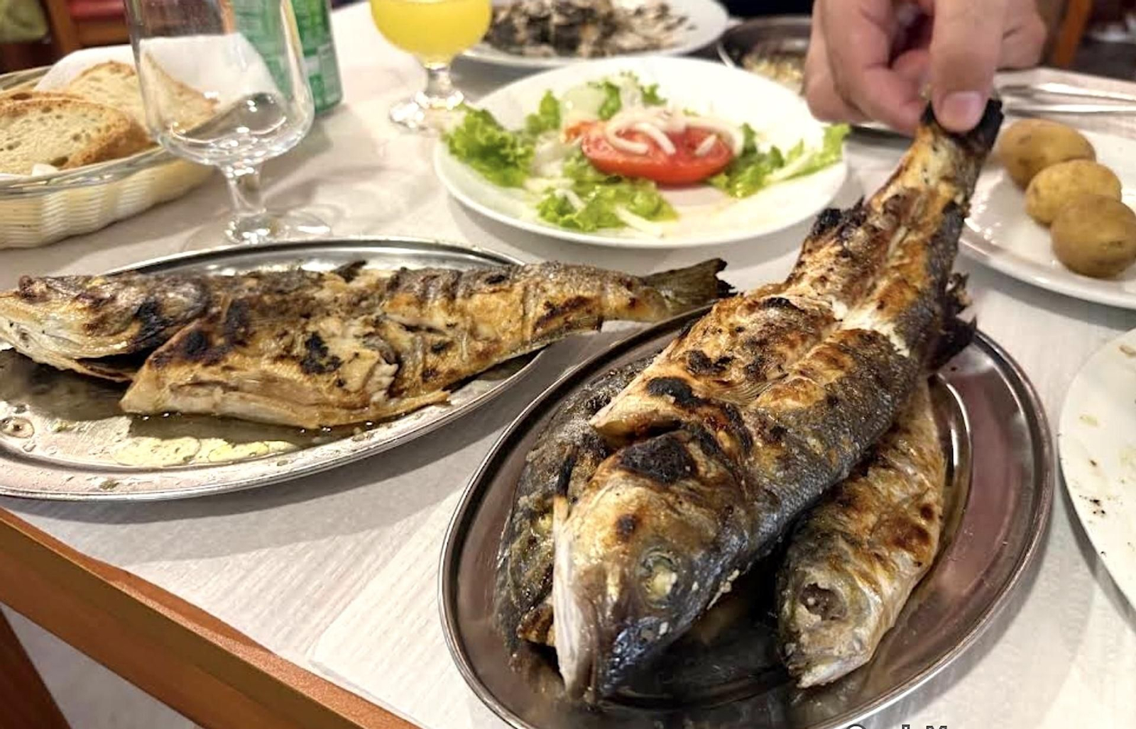 Pescado a la parrilla infinito, ensalada y patatas por 13 euros