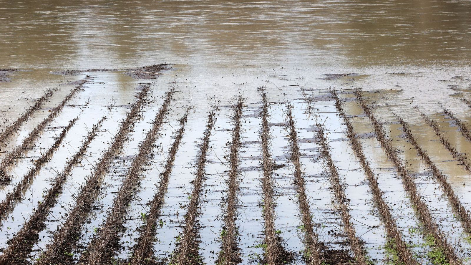 Así afronta la zona rural de Jerez la subida del río Guadalete