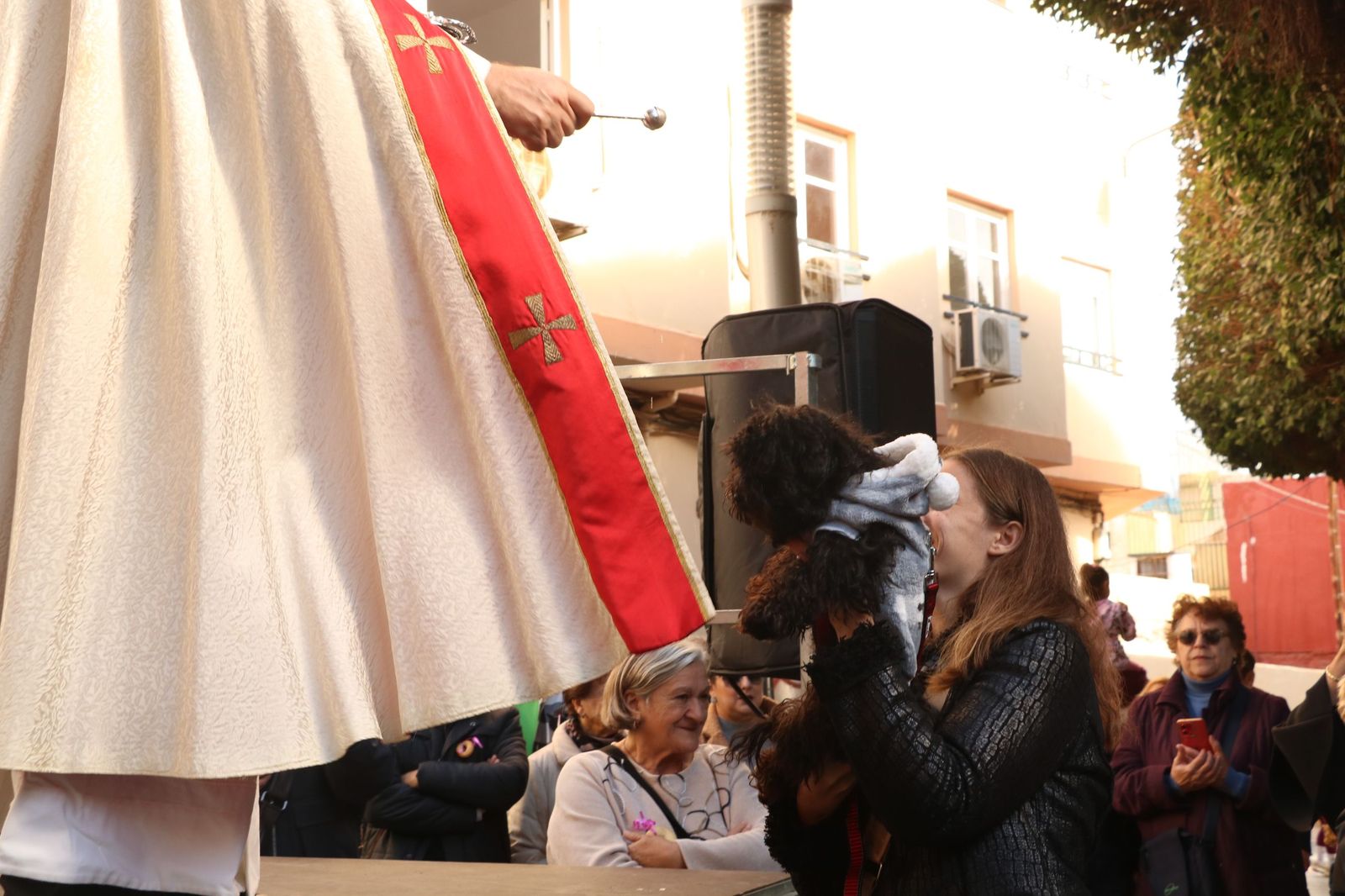 Así ha sido la bendición de las mascotas y la subasta de 'rabicos' en el casco histórico de Almería