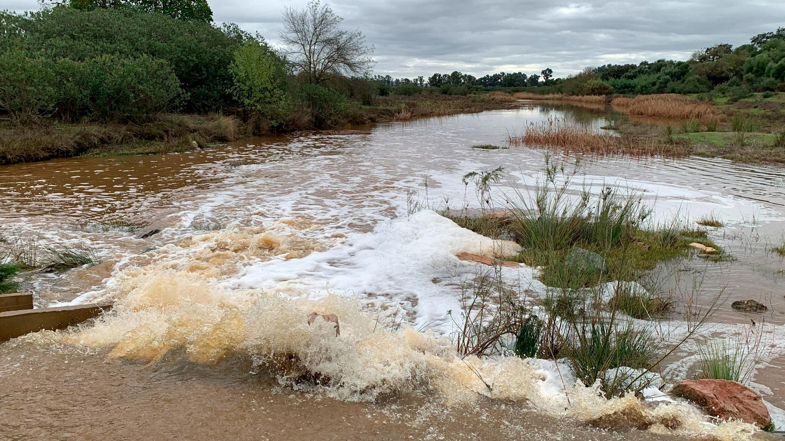 Los acusados tenían permiso para extraer unas determinadas cantidades de agua de un caño del río Guadiamar.