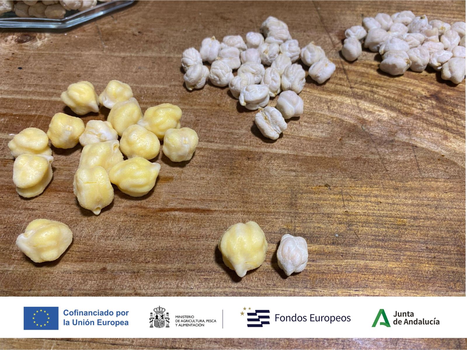 Garbanzo de Escacena