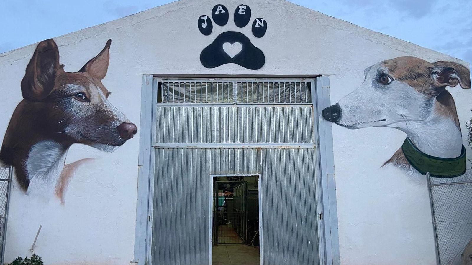 Refugio de la protectora Huella de Jaén.