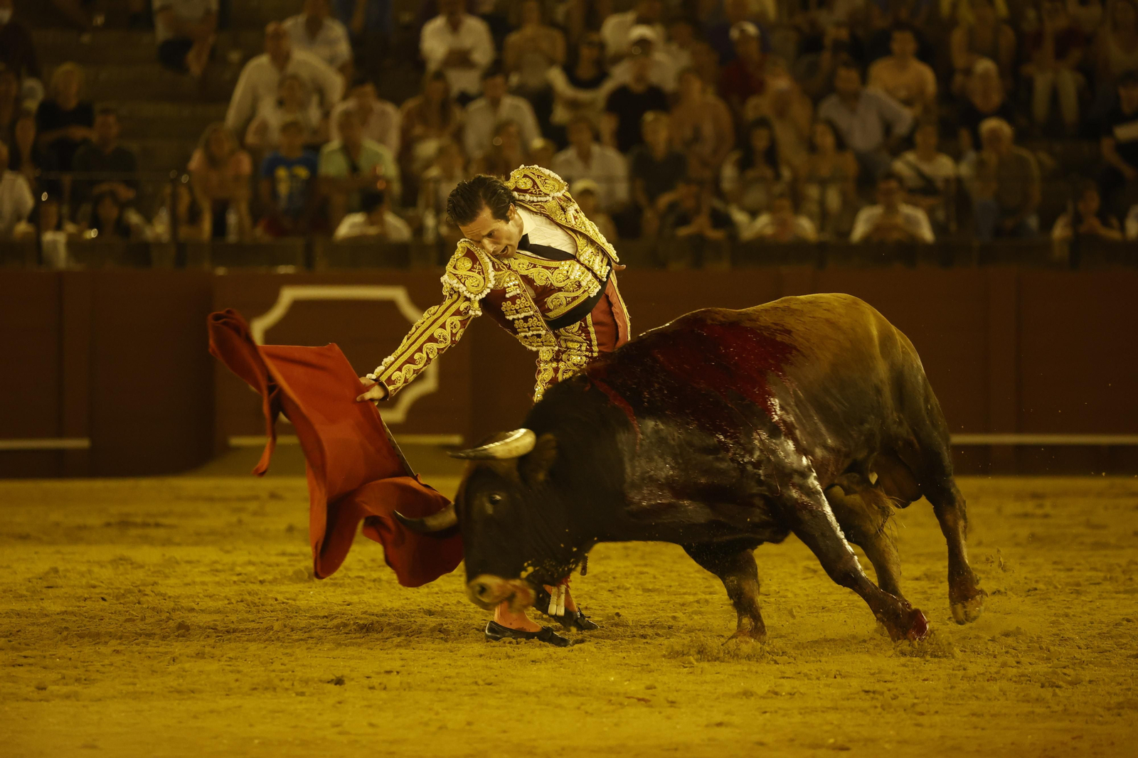 Las imágenes de la novillada en la Maestranza