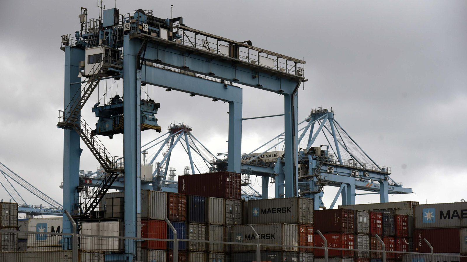 Las fotos de la actividad en el Puerto de Algeciras durante el estado de alarma
