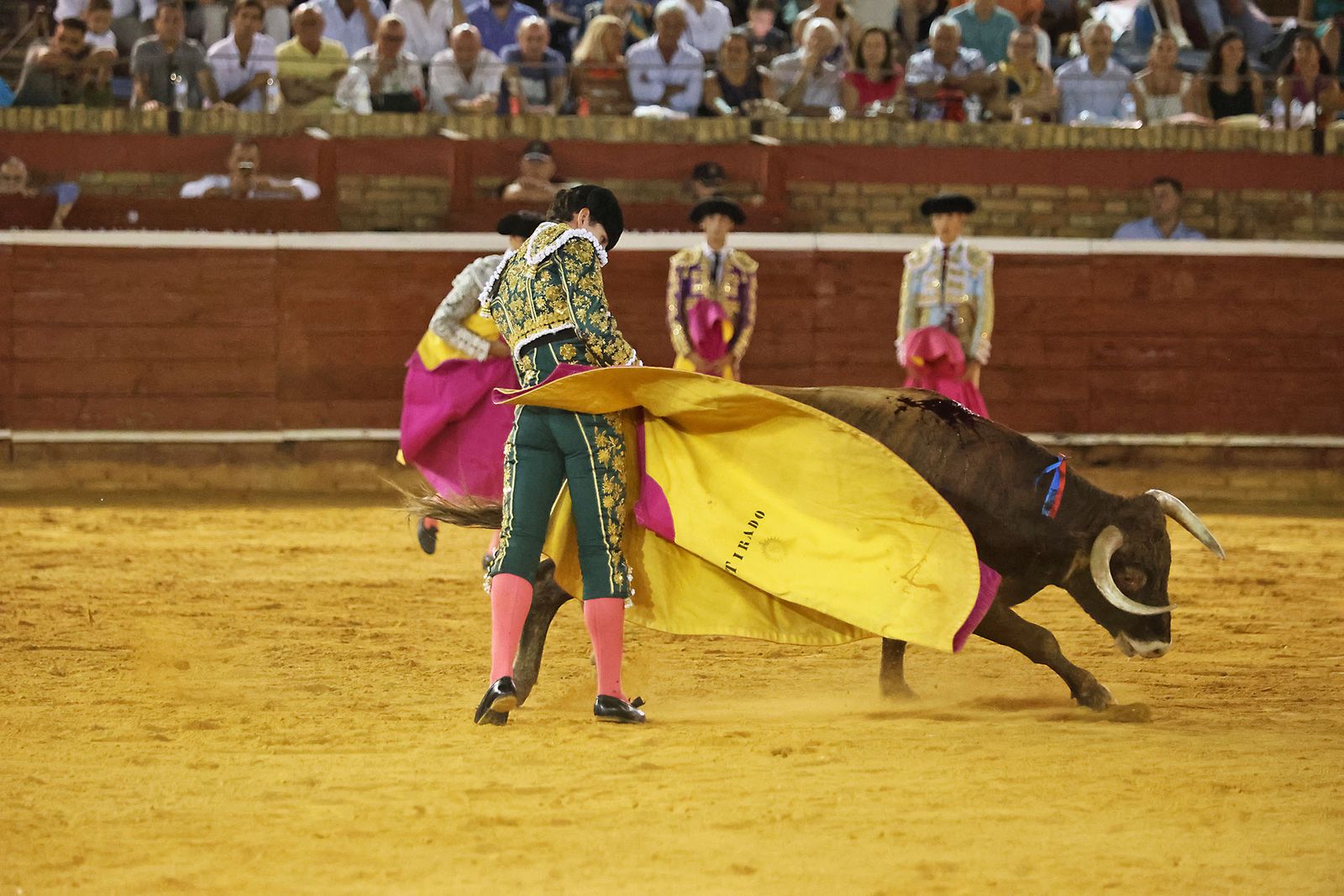 Toros La Merced 2024 Novillada con picadores(