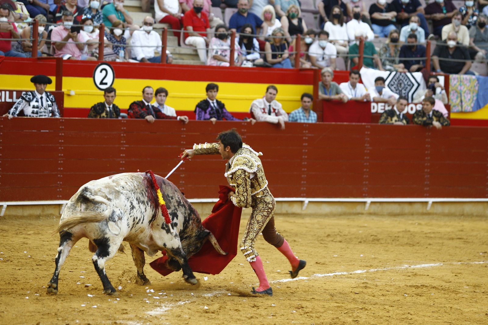 Fotogalería corrida de toros. Cayetano Rivera, Paco Ureña y Roca Rey. Roquetas de Mar.