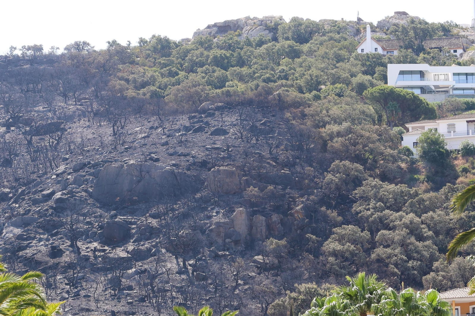 Efectos del incendio en Atlanterra, en Tarifa.