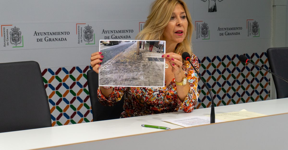 El PP de Granada denuncia la suciedad y la falta de brigadas de ...