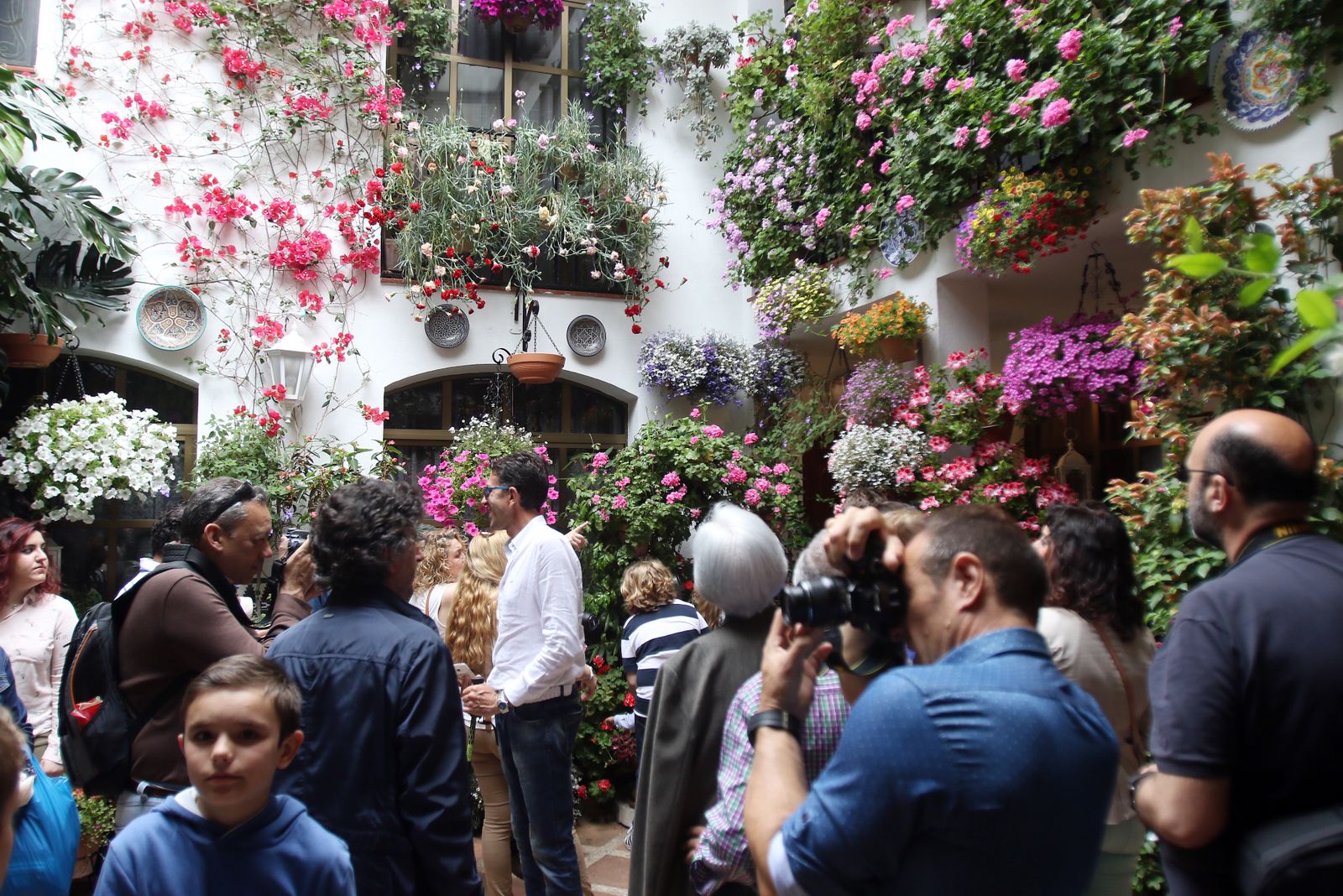 Ambiente en los patios ganadores de 2017