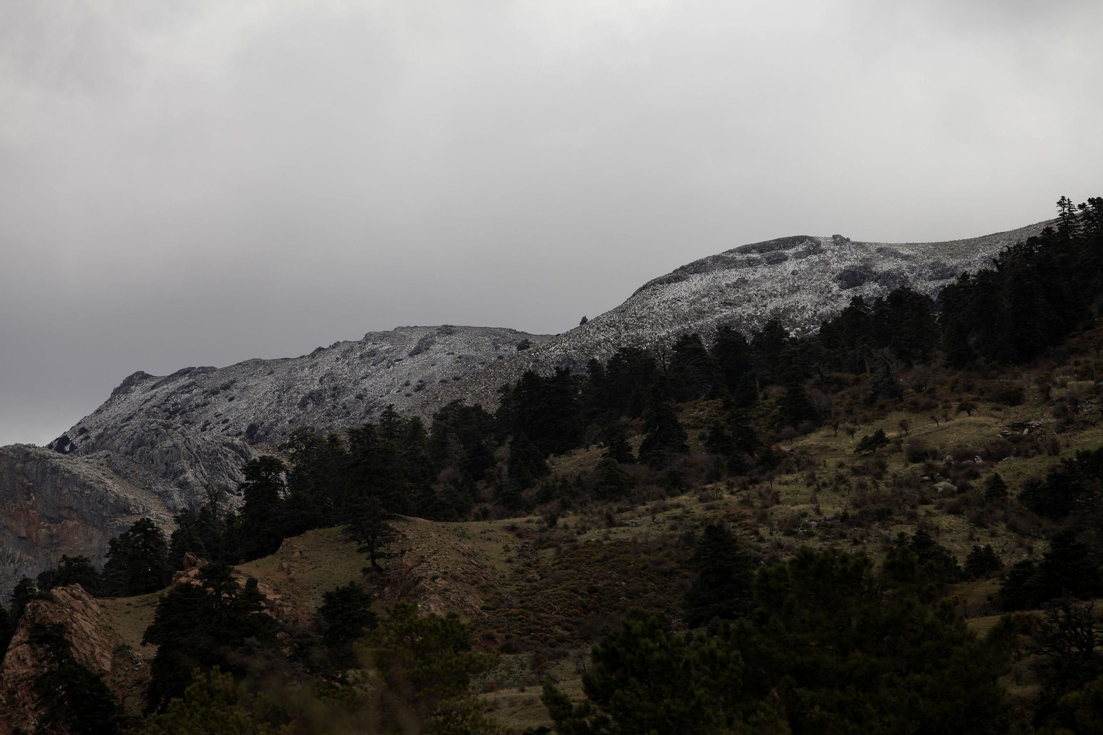 La Sierra de las Nieves, en fotos