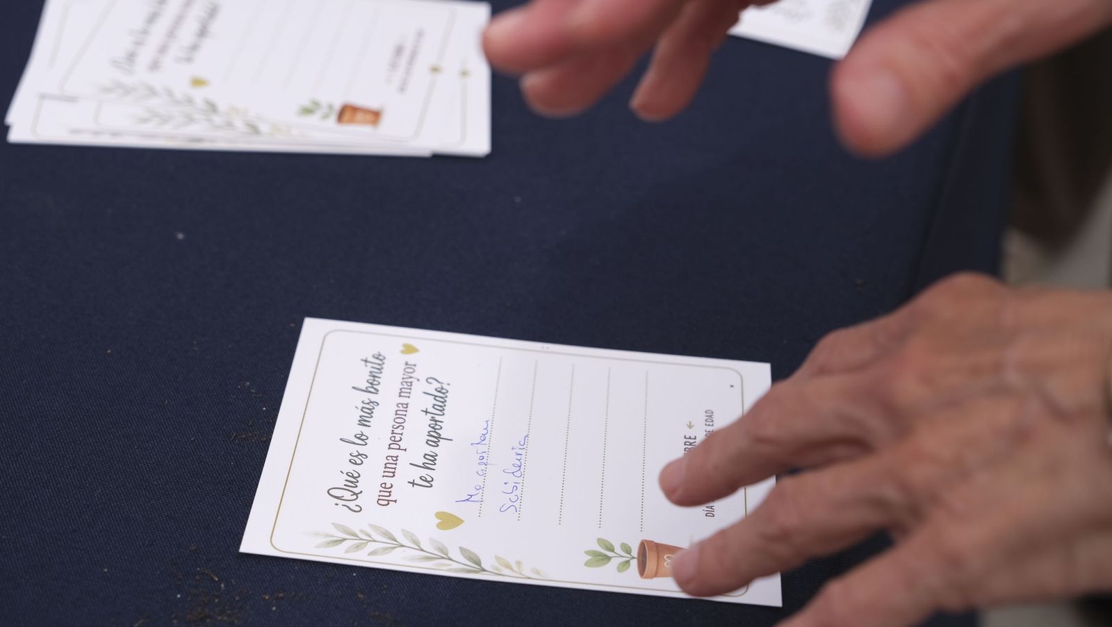 El Día de las Personas de Edad en Adra, organizado por el Ayuntamiento y Clece, en imágenes