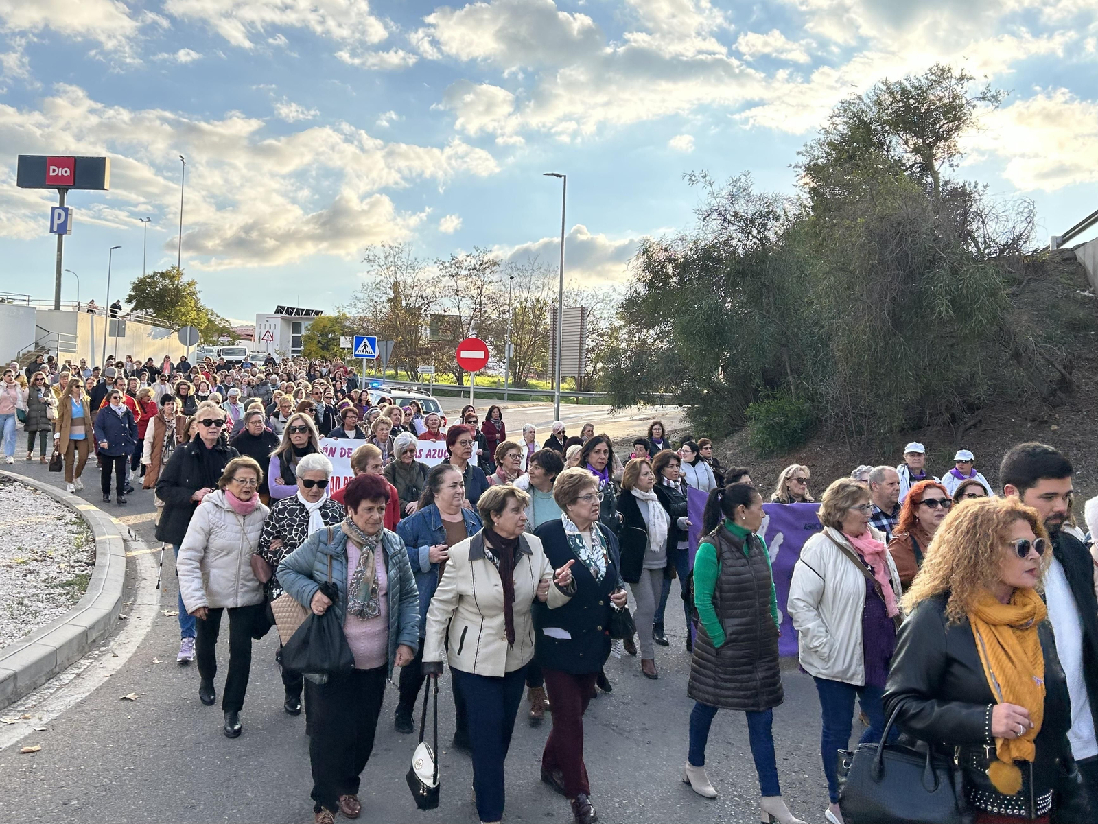 El Alto Guadiato clama contra la violencia sobre la mujer, en imágenes