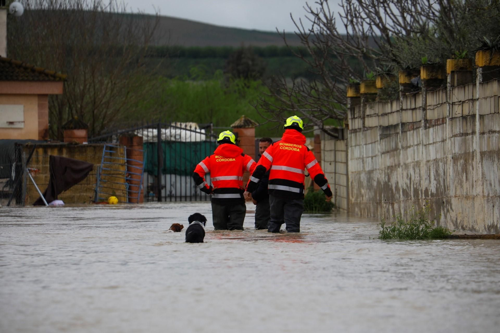 Las imágenes de las parcelaciones inundadas por la crecida del río Guadalquivir