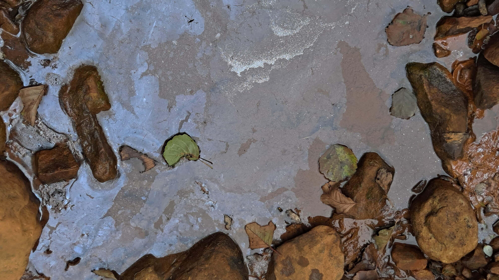 Fotos del sendero de la garganta del Rayo en Tarifa